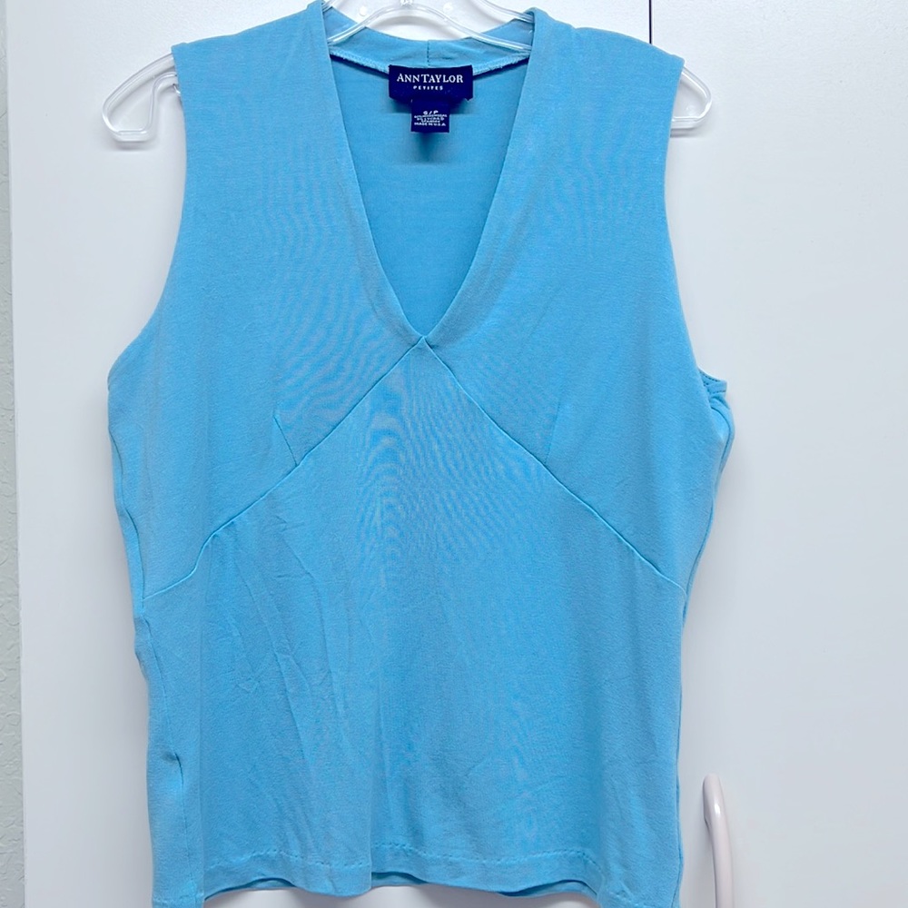 Ann Taylor Petites